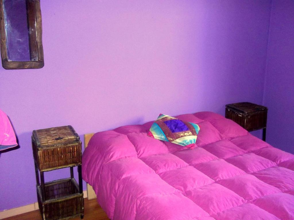 El Bolsón Cabanas Pehueniaホステル 部屋 写真