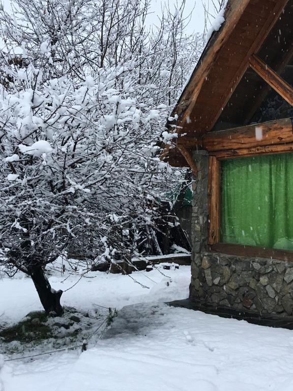 El Bolsón Cabanas Pehueniaホステル エクステリア 写真
